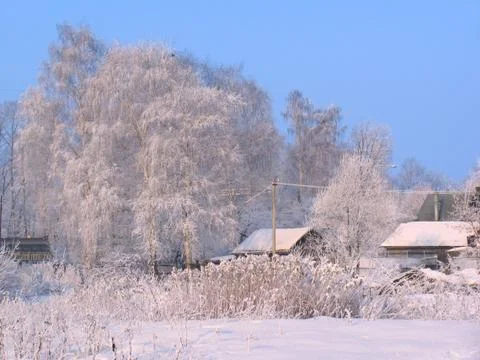 Winter landscape Stock Photos