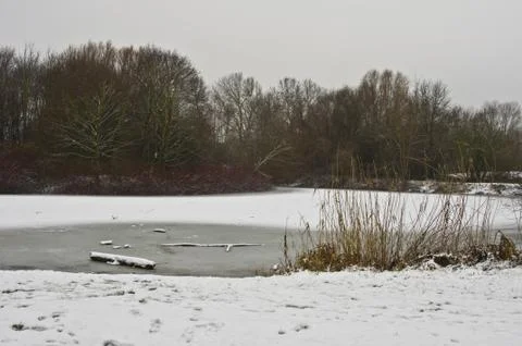 Winter landscape Stock Photos