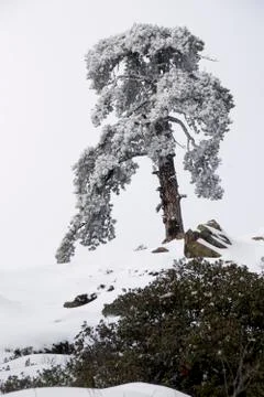 Winter landscape Photos