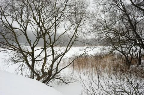 Winter landscape Stock Photos