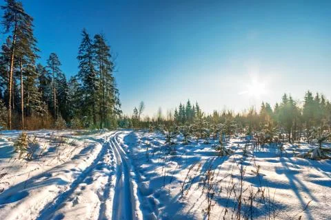 Winter landscape Stock Photos