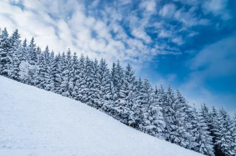 Winter landscape Foto stock