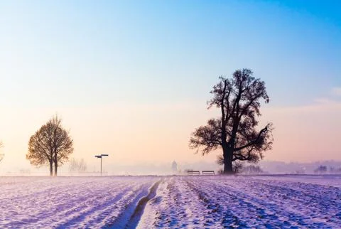 Winter landscape Stock Photos