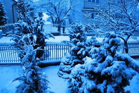 Winter landscape Stock Photos