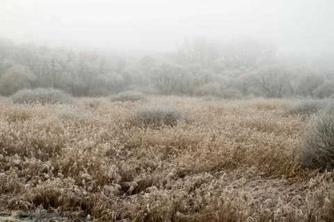 Winter landscape Stock Photos