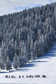 Winter landscape Stock Photos