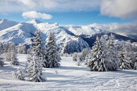 Winter Landscape Stock Photos
