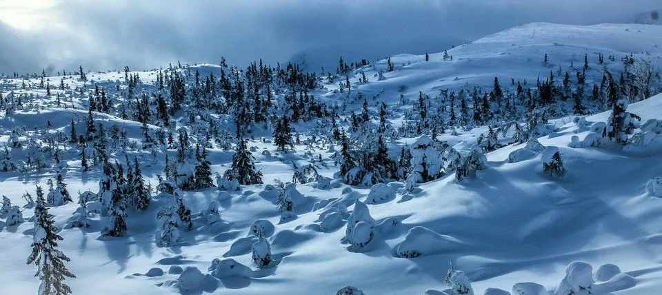 Winter landscape  Foto stock