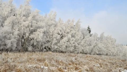 Winter landscape Stock Photos