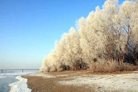 Winter landscape. Stock Photos