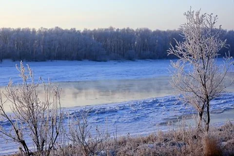 Winter landscape. Fotos de archivo