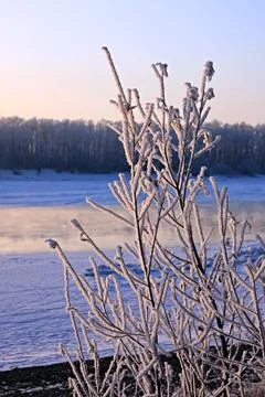 Winter landscape. Stock Photos