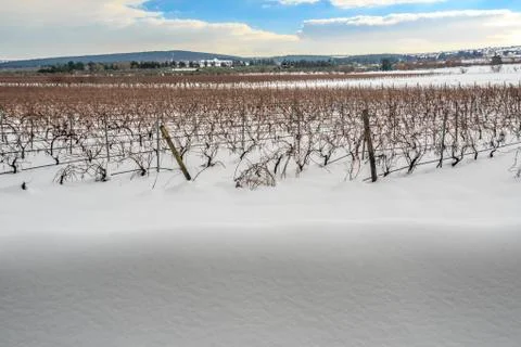 Winter landscape Stock Photos