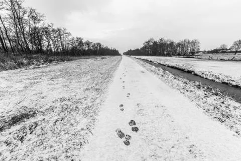 Winter landscape Stock Photos