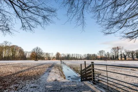 Winter landscape Stock Photos