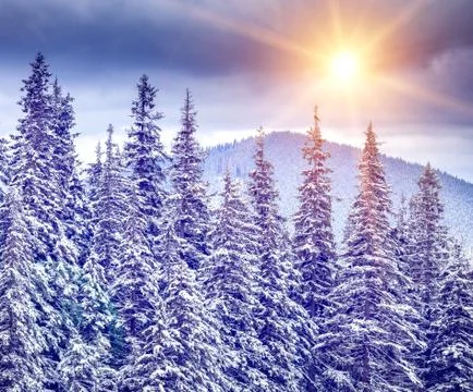 WInter Landscape Stock Photos