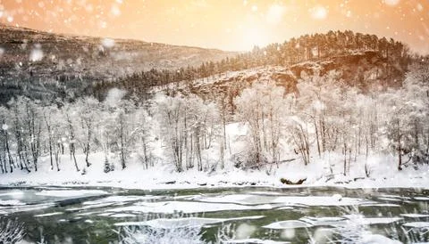 Winter landscape Stock Photos