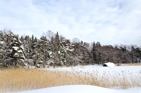 Winter Landscape. Stock Photos