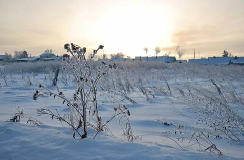 Winter landscape Foto stock