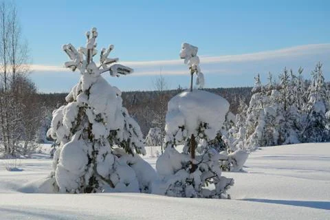 Winter landscape Stock Photos