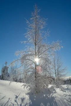 Winter landscape Stock Photos