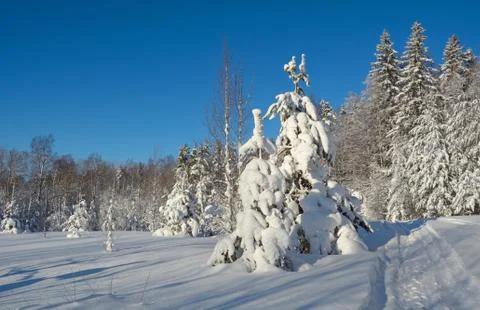 Winter landscape Foto stock