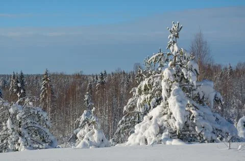 Winter landscape Foto stock