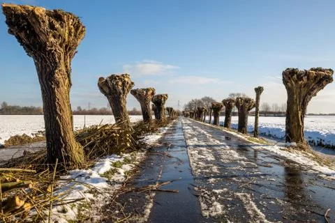Winter landscape Stock Photos