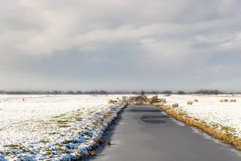 Winter landscape Stock Photos