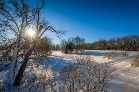 Winter landscape Stock Photos