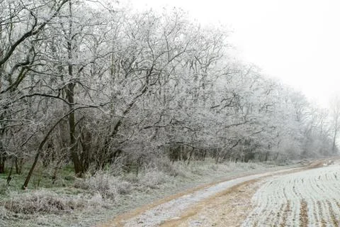 Winter landscape Stock Photos