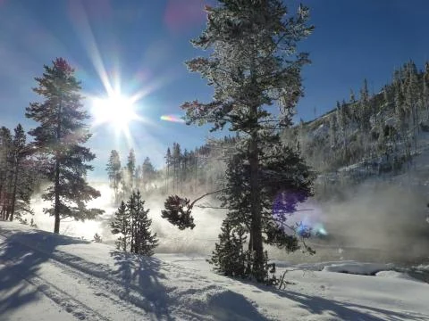 Winter landscape Stock Photos