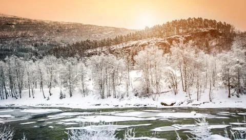 Winter landscape Stock Photos