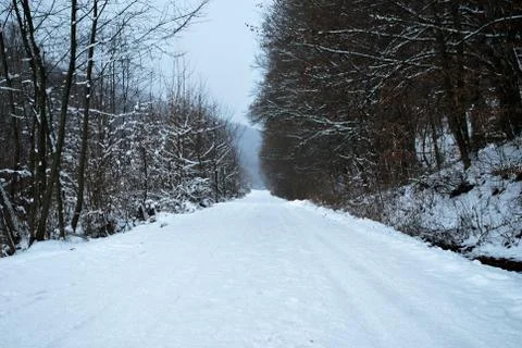 Winter landscape Stock Photos