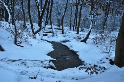 Winter landscape Stock Photos
