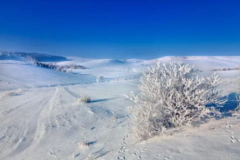 Winter landscape Stock Photos