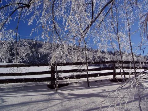 Winter landscape  Stock Photos