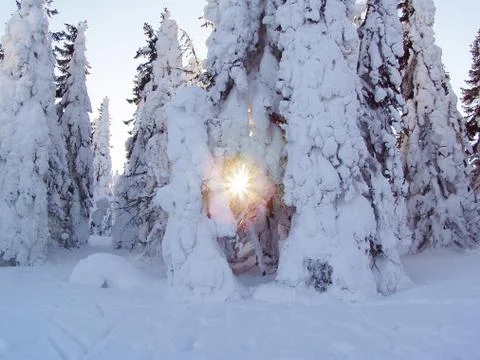 Winter landscape  Stock Photos