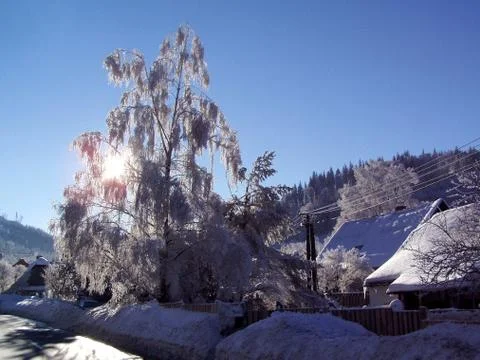 Winter landscape  Stock Photos