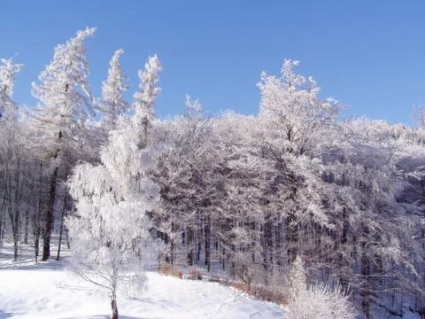 Winter landscape  Stock Photos