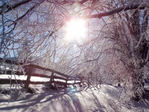 Winter landscape  Stock Photos
