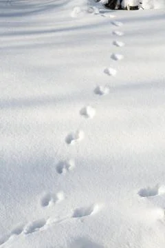 Winter landscape Stock Photos