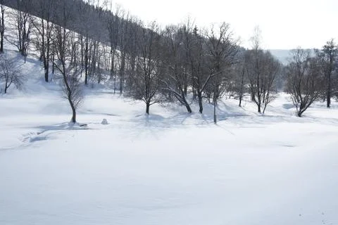 Winter landscape Stock Photos