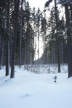 Winter landscape Foto stock