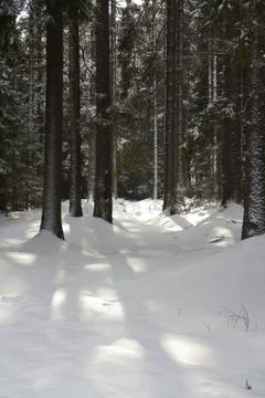 Winter landscape Stock Photos