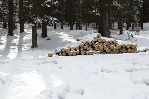 Winter landscape Stock Photos