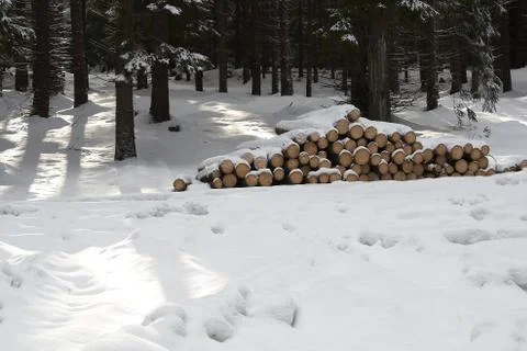 Winter landscape Photos