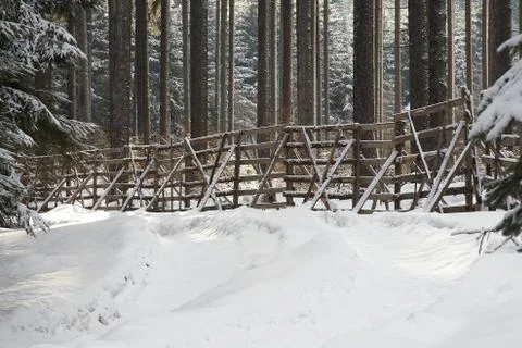 Winter landscape Stock Photos