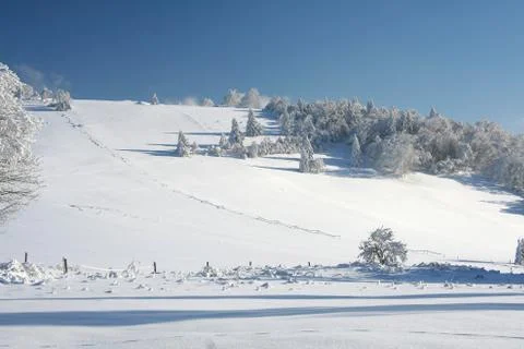 Winter landscape Foto stock