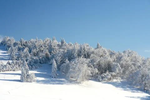 Winter landscape Stock Photos